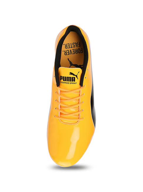 Puma Men's evoSPEED Sun Stream Cricket Shoes