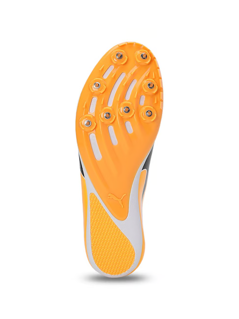 Puma Men's evoSPEED Sun Stream Cricket Shoes