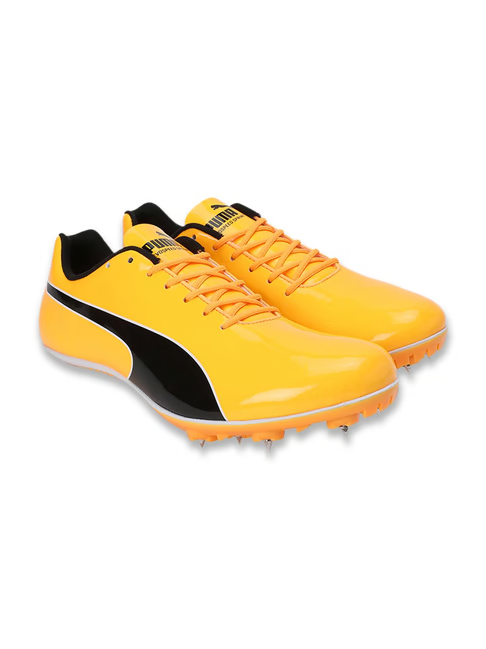 Puma Men's evoSPEED Sun Stream Cricket Shoes