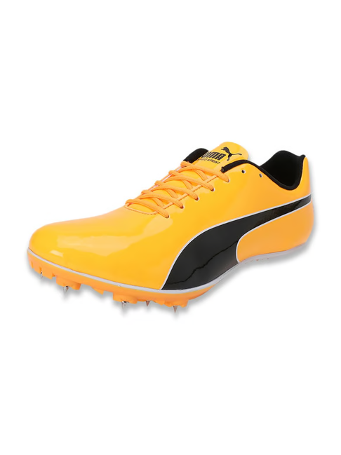 Puma Men's evoSPEED Sun Stream Cricket Shoes