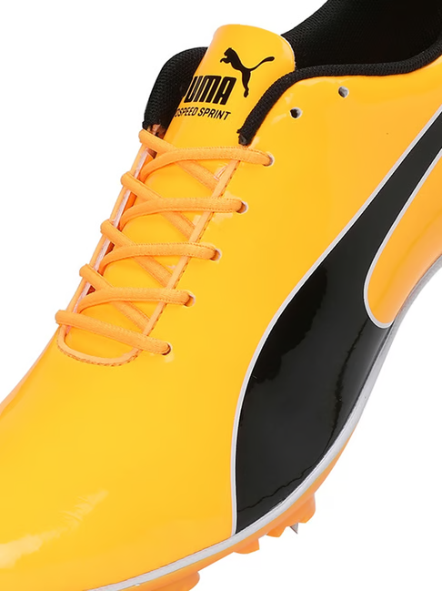 Puma Men's evoSPEED Sun Stream Cricket Shoes